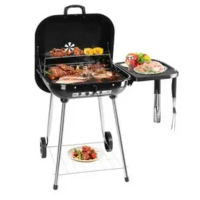 Brinkmann 810-5301-S Portable Propane Gas Grill